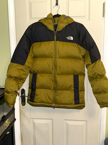 The north face 700 - the, down