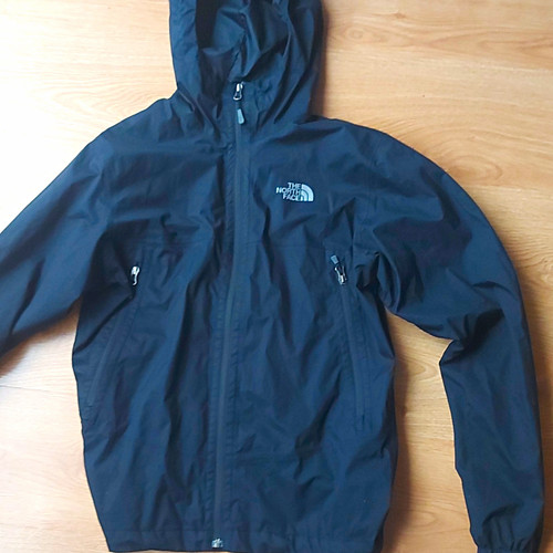 The north face men - the, men's