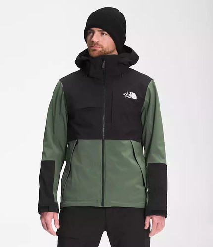 The north face mens - the,